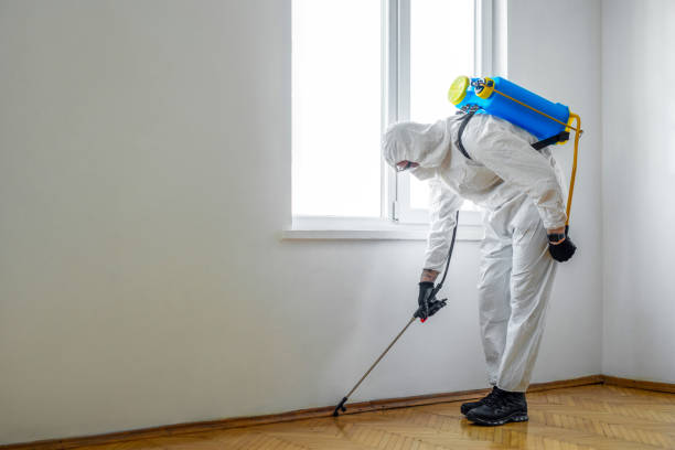 Best Insect Control  in Gold Key Lake, PA