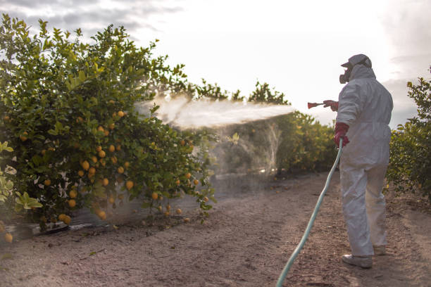 Best Best Pest Control Companies  in Gold Key Lake, PA
