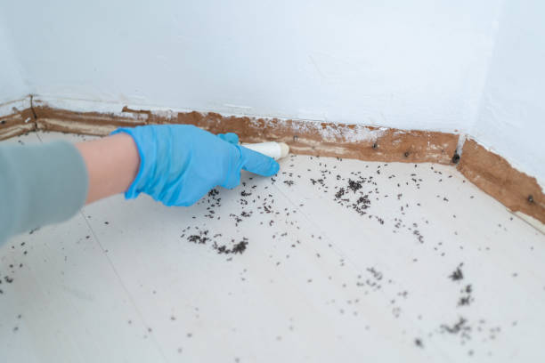 Best Pest Removal Services  in Gold Key Lake, PA